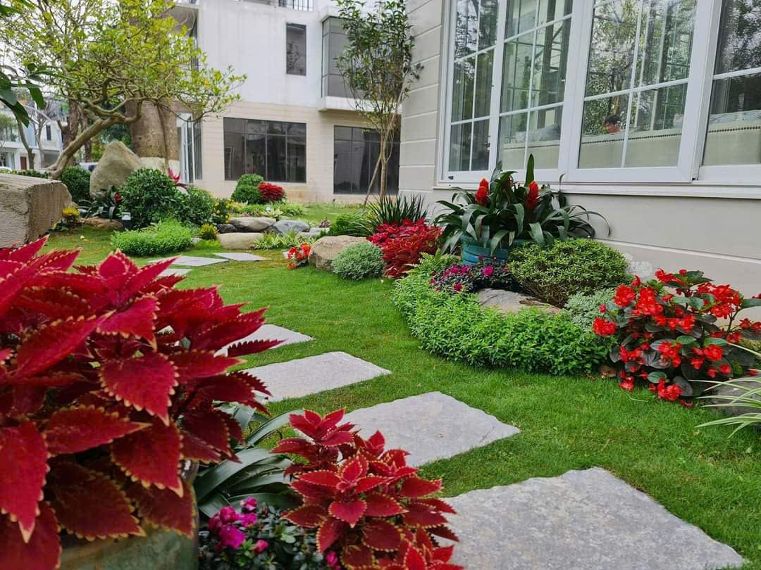 Thiết kế thi công sân vườn biệt thự
